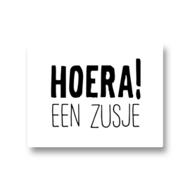 5 stickers - hoera! een zusje