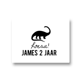 5 naamstickers - dino 2