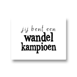 5 stickers - jij bent een wandelkampioen