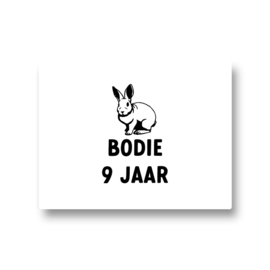 5 naamstickers - konijn