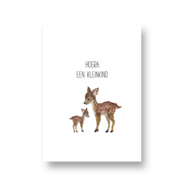 kaart van Opa Muis - kleinkind
