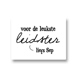 5 naamstickers - voor de leukste leidster