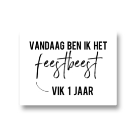 5 naamstickers - feestbeest