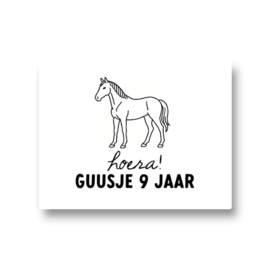 5 naamstickers - paard