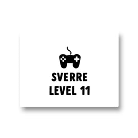 5 naamstickers - level