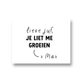 5 naamstickers - lieve juf je liet me groeien