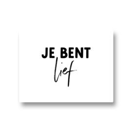 5 stickers - je bent lief