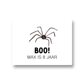 5 naamstickers - BOO + spin