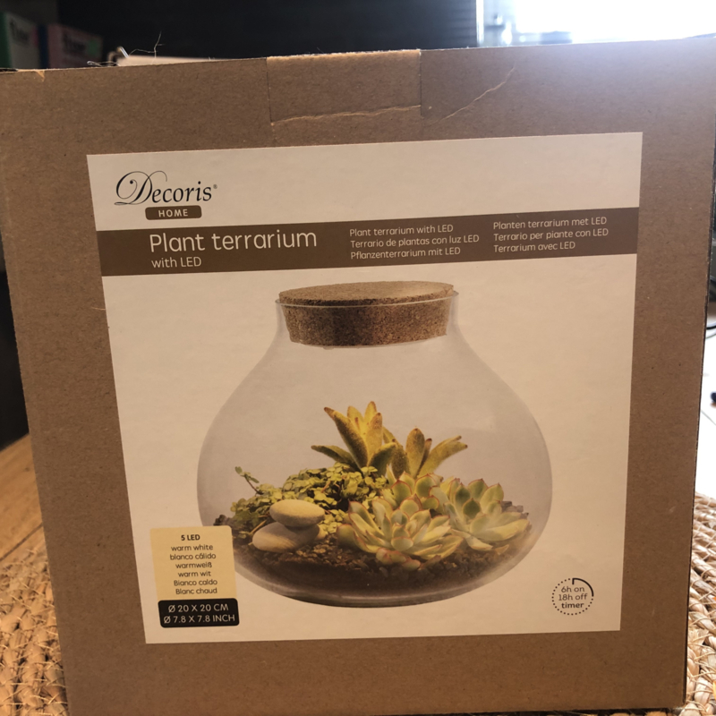 Plant terrarium. Glazen pot met kurk. Led licht