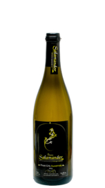 SALAMANDER | AUXERROIS 2021