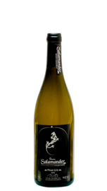 SALAMANDER | PINOT GRIS 2021