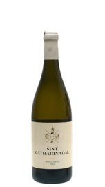 SINT CATHARINADAL | CHARDONNAY 2022