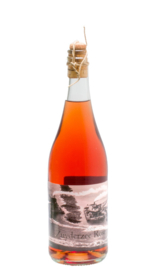 WILGENHORST | ZUYDERZEE ROSE 2023