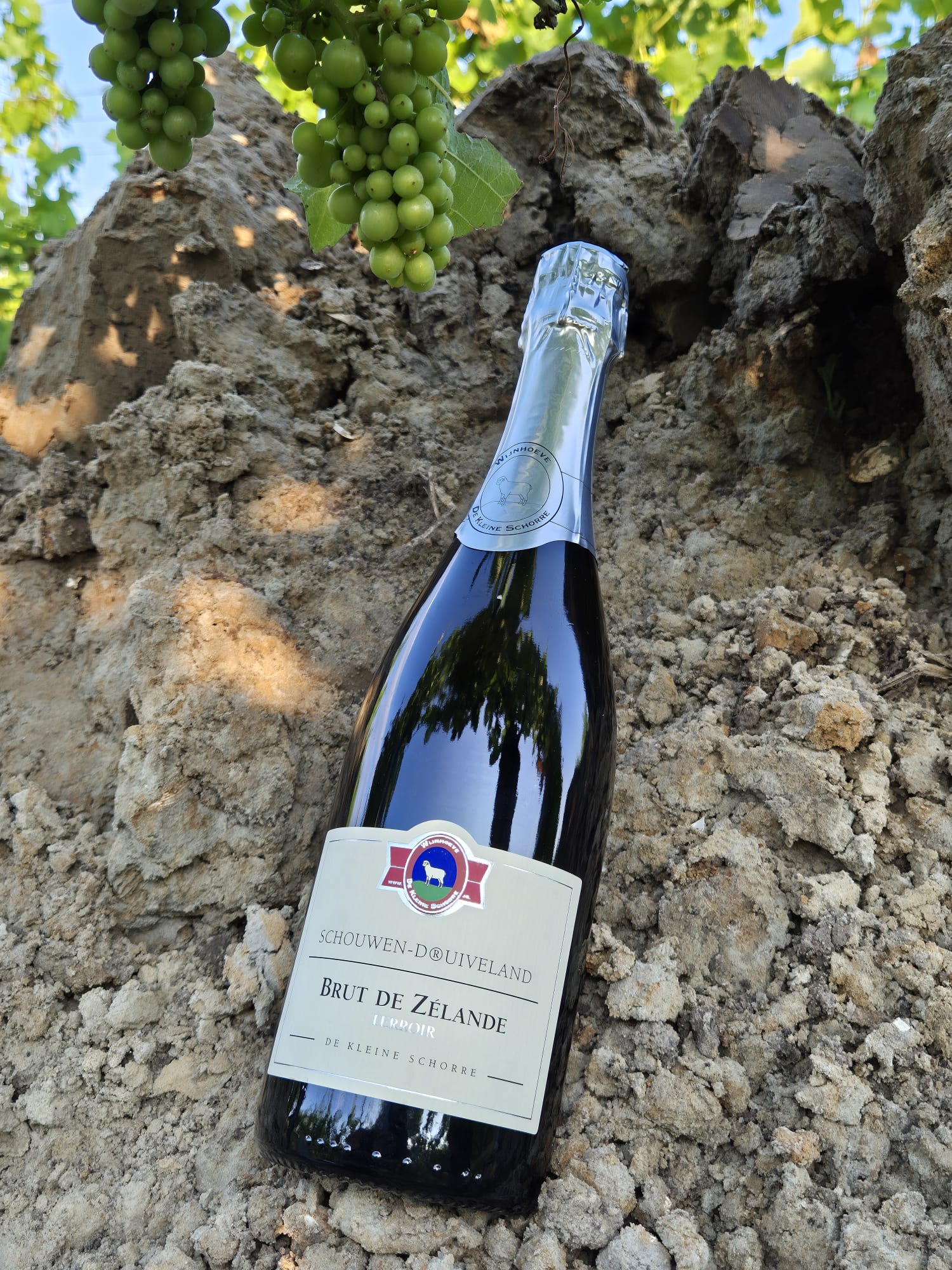 DE KLEINE SCHORRE | BRUT DE ZELANDE TERROIR