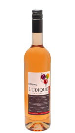LUDIQUE | VITTORIO 2024