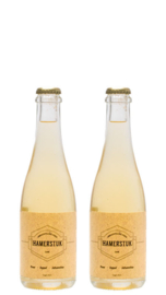 HAMERSTUK  | CIDER 2 PACK