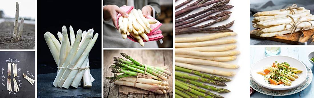 Nederlandse asperges