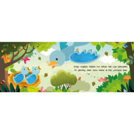 Kijk en voel | Babydieren