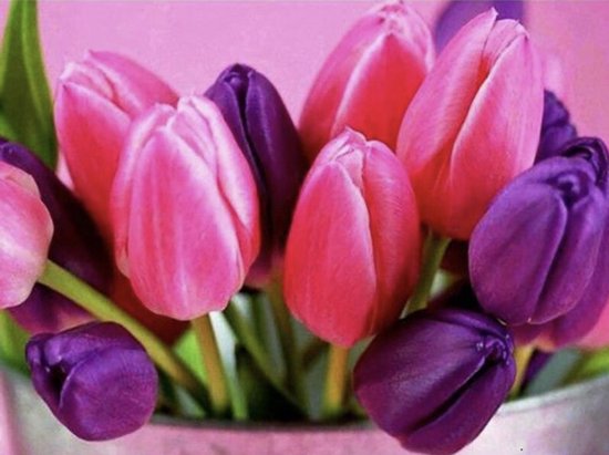 Diamond painting tulpen 50x40cm