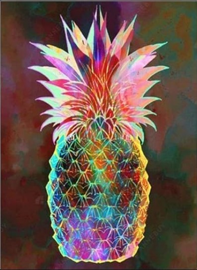 Diamond painting kleurrijke ananas  50x40cm