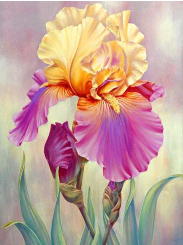 Diamond painting Bloem 60x40 cm