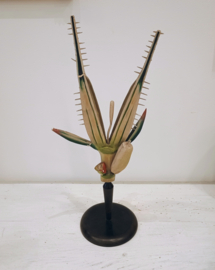 Botanical anatomical model - spikelet of rye