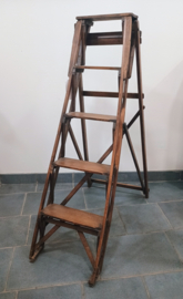 Folding library ladder