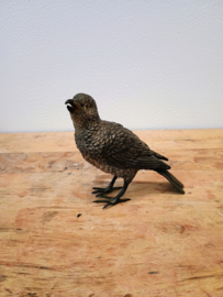 Bronze bird