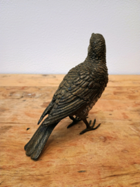 Bronze bird