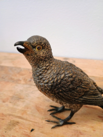 Bronze bird