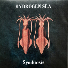 Hydrogen Sea – Symbiosis