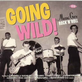 Going Wild! Music City Rock 'n Roll