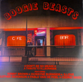 Boogie Beasts – Don't Be So Mean!  (A Tribute to RL Burnside)