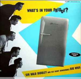 Sir Bald Diddley And His Right Honourable Big Wigs ‎– What's In Your Fridge?