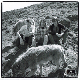 Traumahelikopter – Wolf