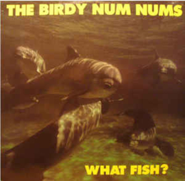 The Birdy Num Nums ‎– What Fish?