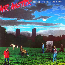 Mr. Mister ‎– Welcome To The Real World