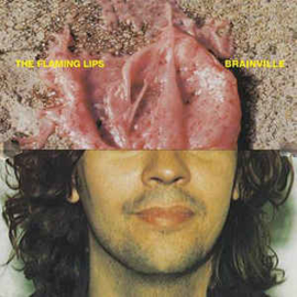 The Flaming Lips ‎– Brainville