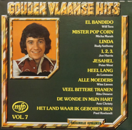 Gouden Vlaamse Hits Vol. 7