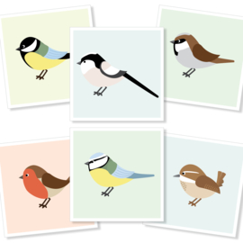 BIRDS - set van 6 dubbele kaarten