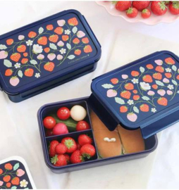 Bento lunchbox aardbeien