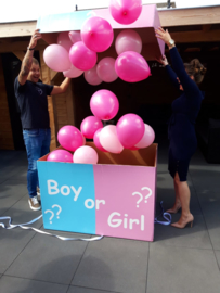 Gender Reveal XXL Box