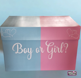 Gender Reveal- BOX XXL Boy or Girl met folie