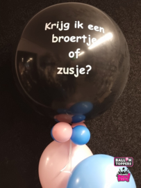 Gender Reveal- Met tekst