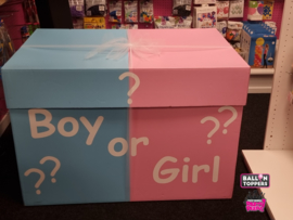 Gender Reveal- XXL Box