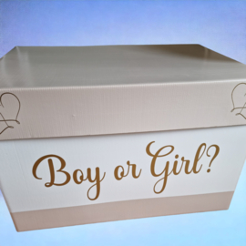 Gender Reveal- BOX XXL Boy or Girl?
