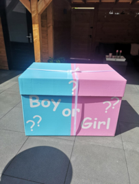 Gender Reveal XXL Box