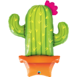 Folie- Cactus