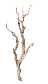 Ghostwood sandblasted 150