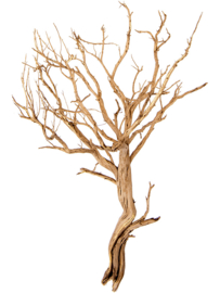 Ghostwood sandblasted vertakt 80